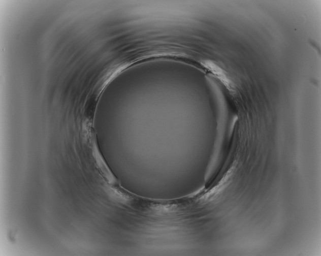 X0000091171369200708161451
