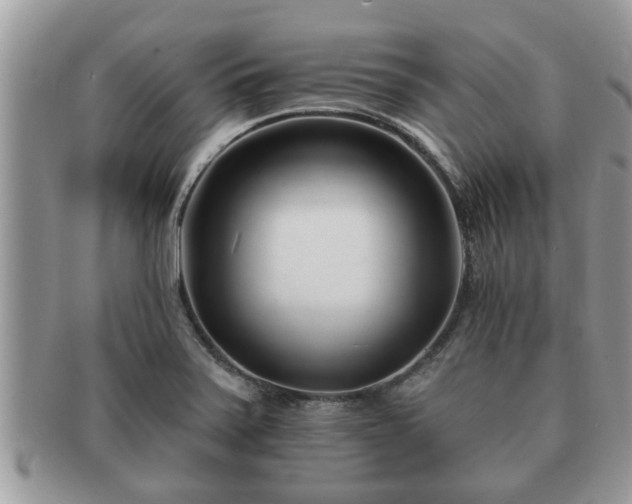 X0000091171371200708161451