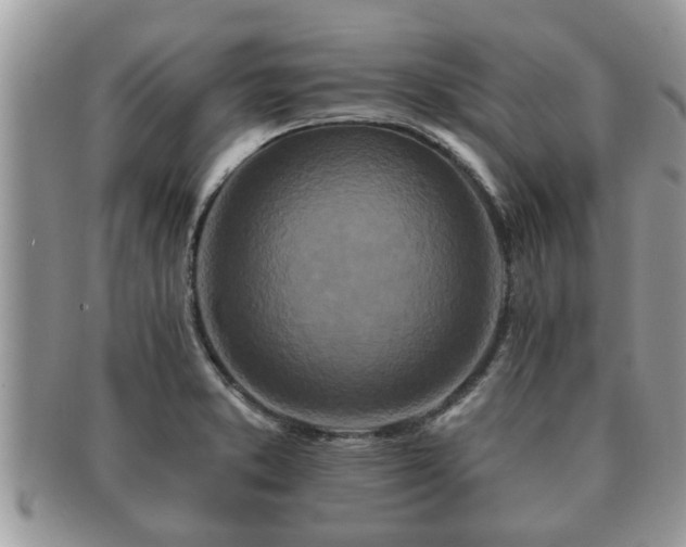 X0000091171373200708161451