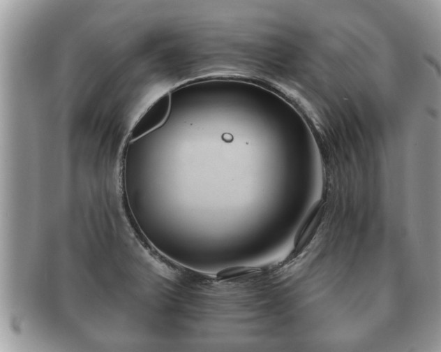 X0000091171375200708161451