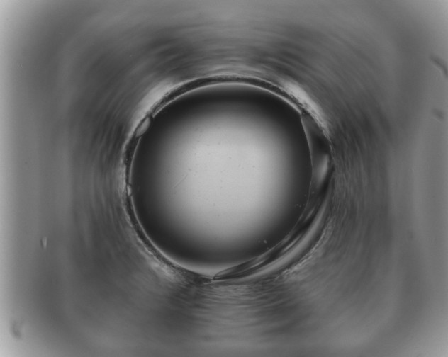 X0000091171376200708161451