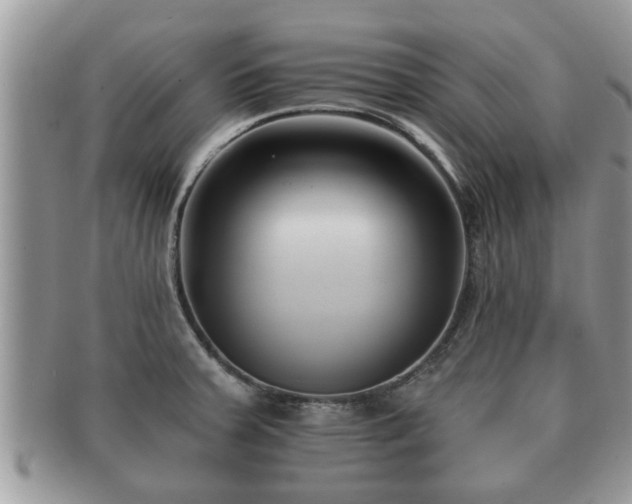 X0000091171379200708161451