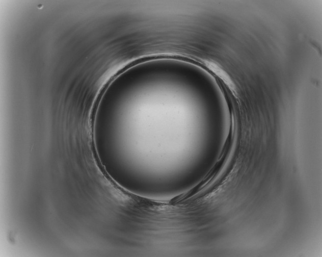 X0000091171380200708161451