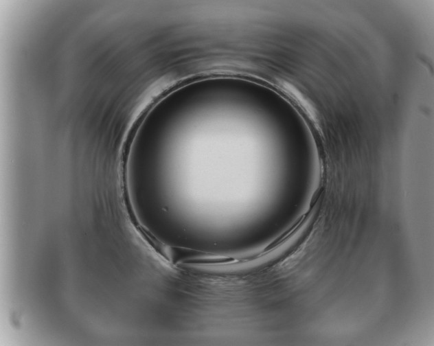 X0000091171384200708161451