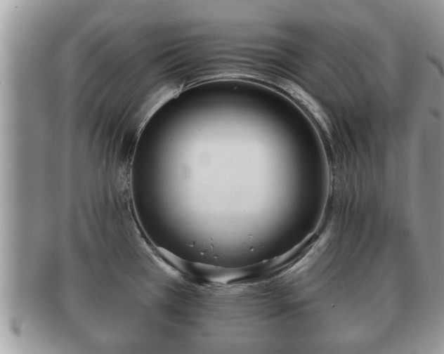 X0000091171385200708161451