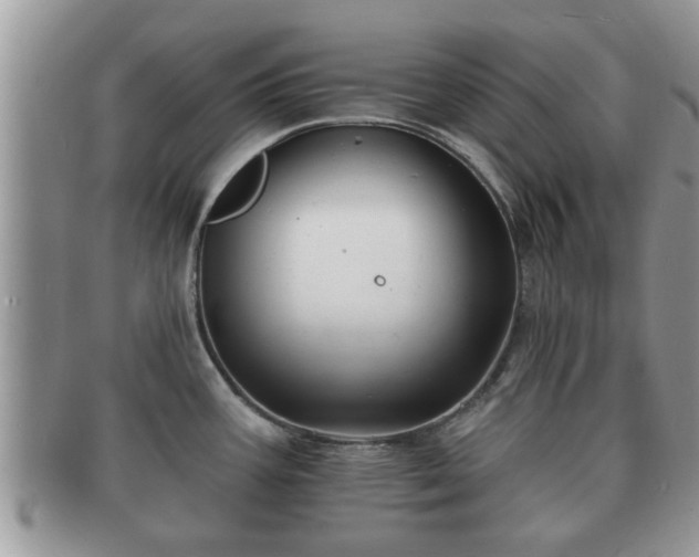 X0000091171387200708161451