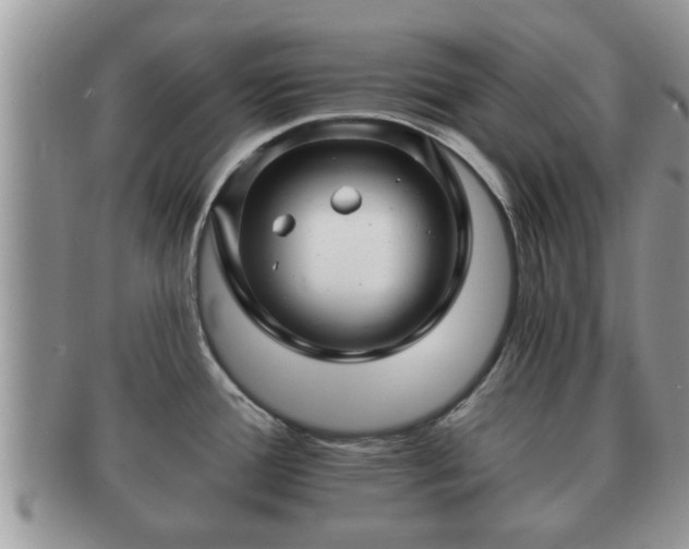 X0000091171388200708161450