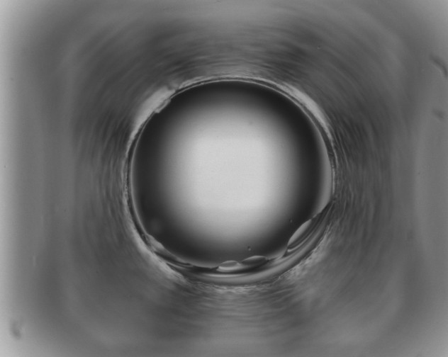 X0000091171389200708161450