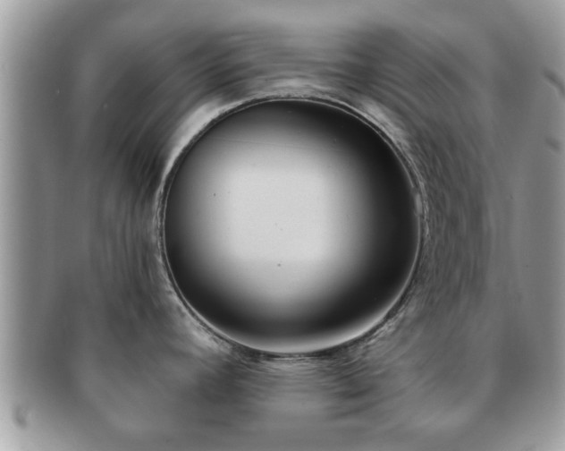 X0000091171392200708161450