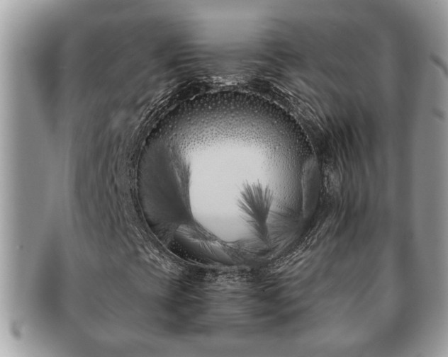 X0000091171393200708161450