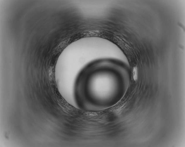 X0000091171395200708161450