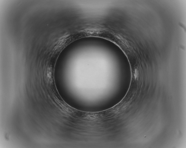 X0000091171396200708161450
