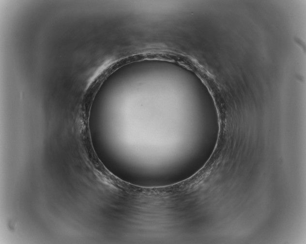 X0000091171400200708161450