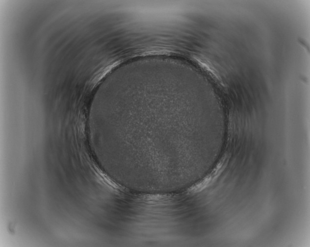 X0000091171401200708161450