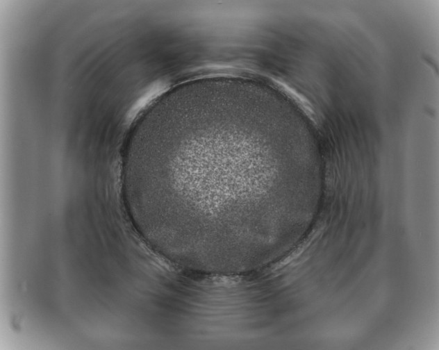 X0000091171411200708161450