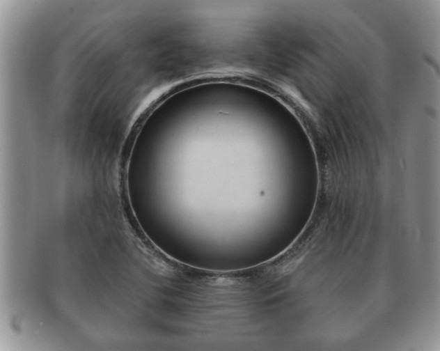 X0000091171412200708161450