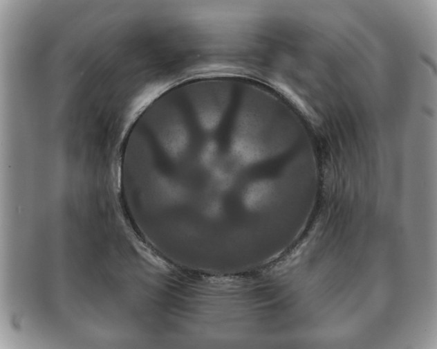 X0000091171413200708161450