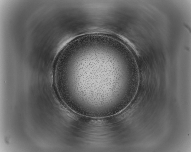 X0000091171415200708161450