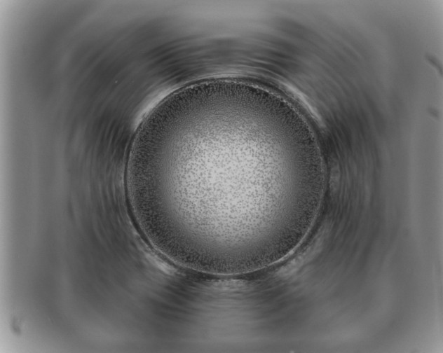 X0000091171417200708161450