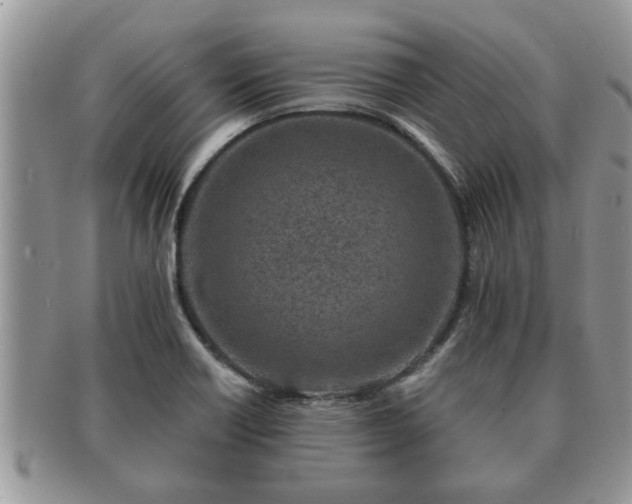 X0000091171418200708161450