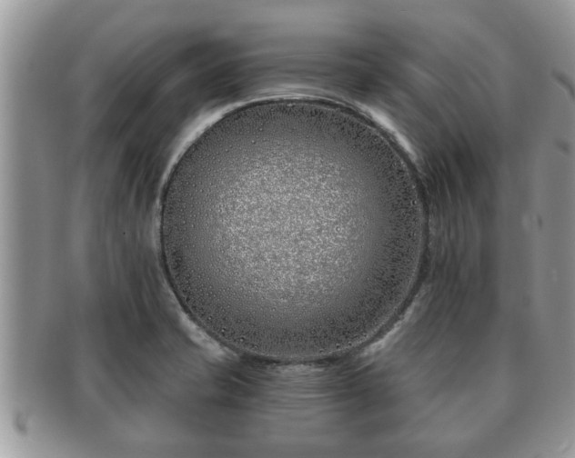 X0000091171421200708161450