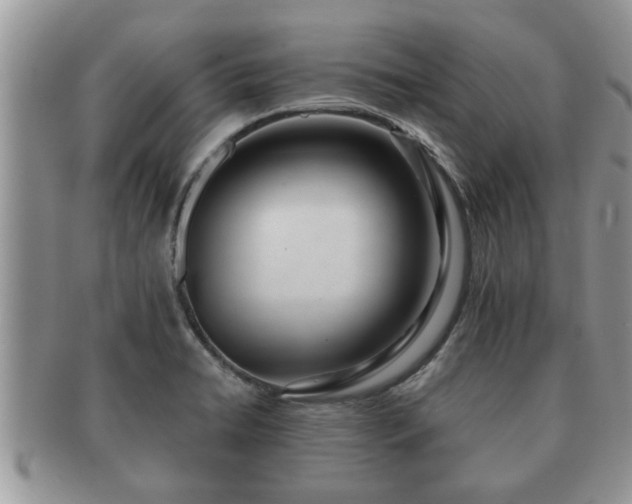 X0000091171422200708161450