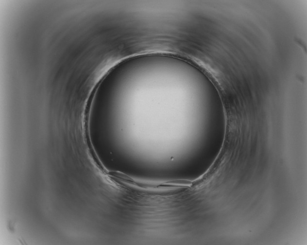 X0000091171423200708161450