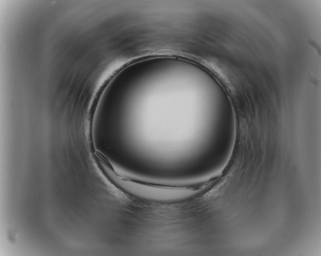 X0000091171424200708161450