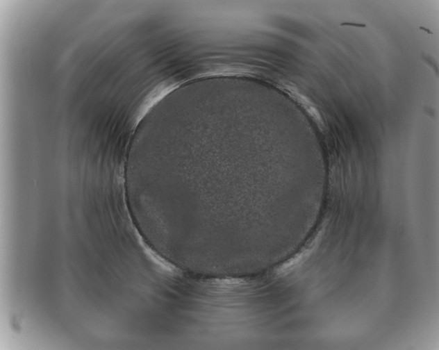 X0000091171425200708161450