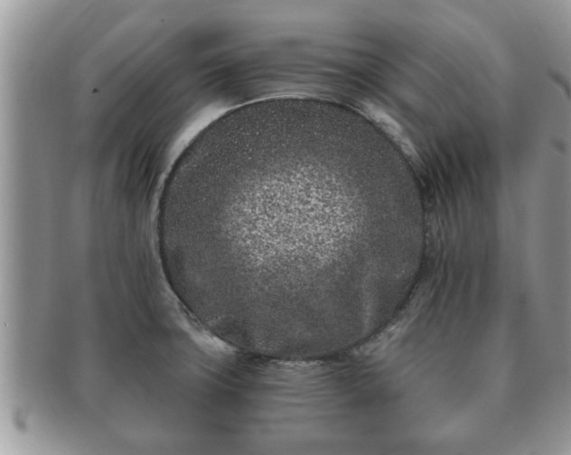 X0000091171427200708161450