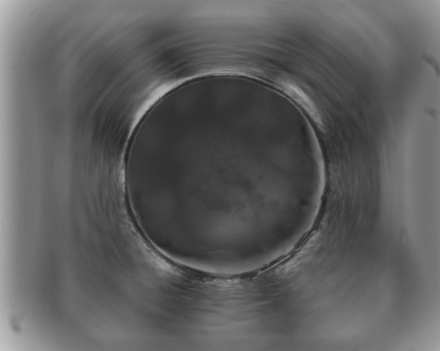 X0000091171428200708161450