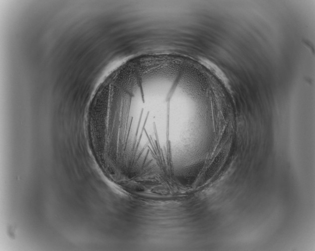 X0000091171429200708161450