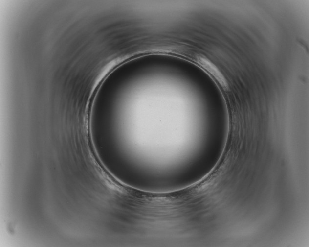 X0000091171436200708161450