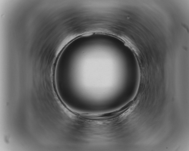 X0000091171438200708161450