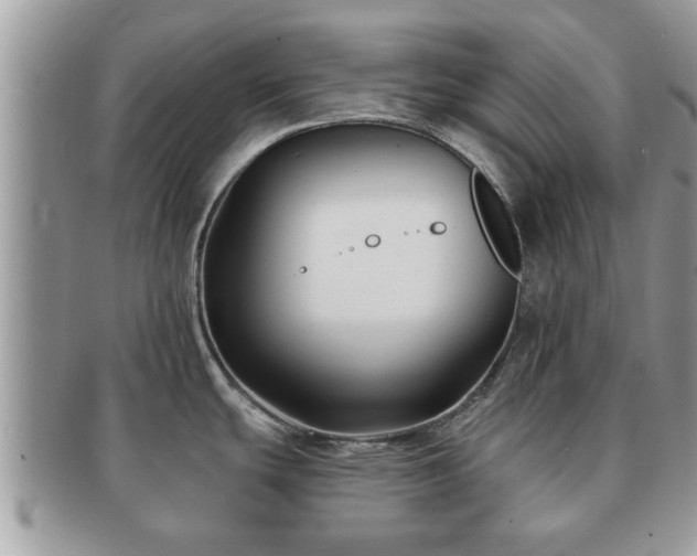 X0000091171439200708161450