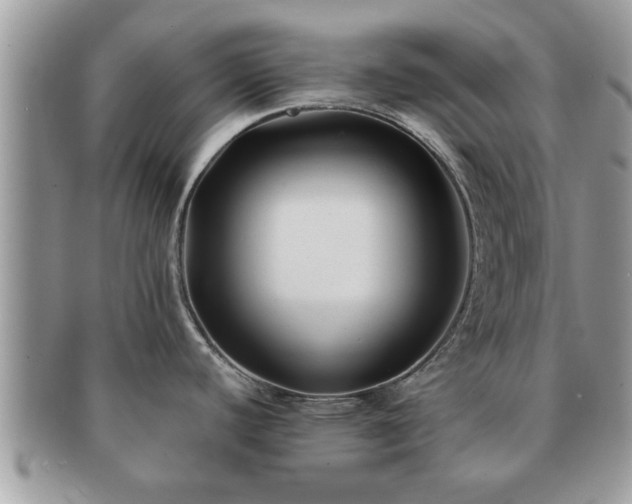 X0000091171440200708161450