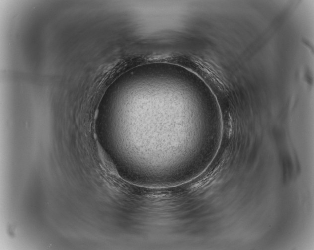 X0000091171441200708161450