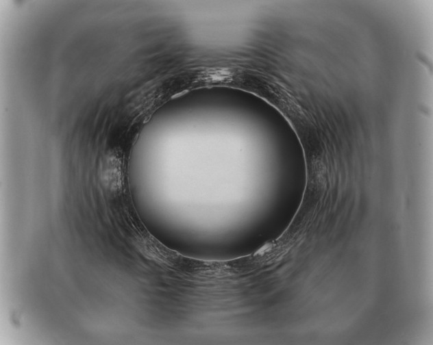 X0000091171442200708161450