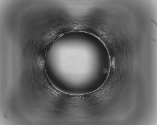 X0000091171444200708161450
