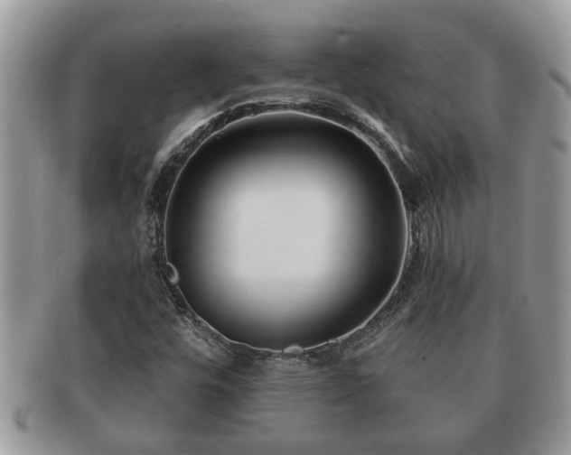 X0000091171448200708161450