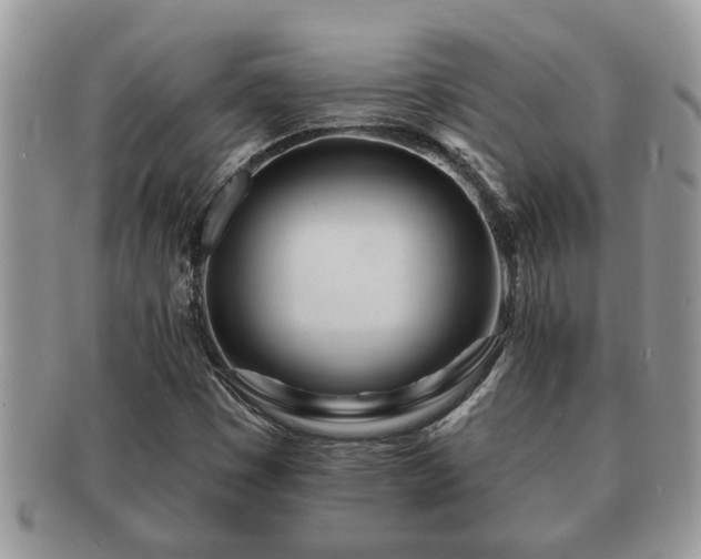 X0000091171449200708161450