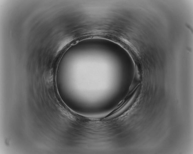 X0000091171450200708161450