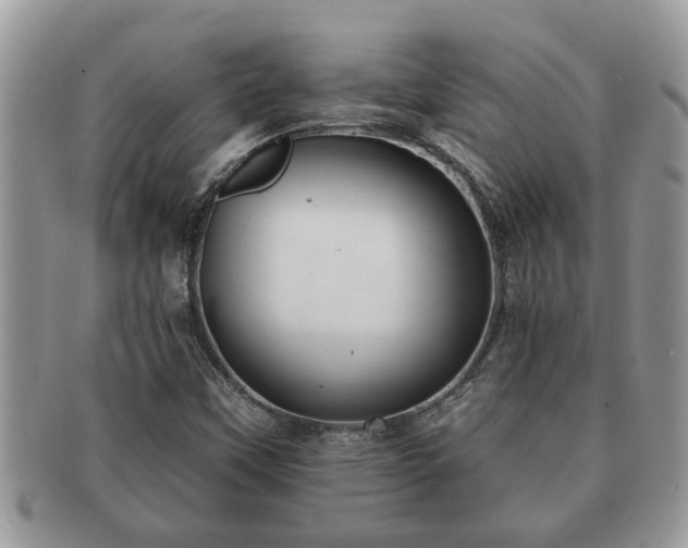 X0000091171451200708161450