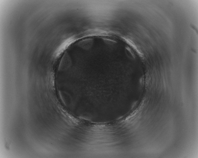 X0000091171455200708161450
