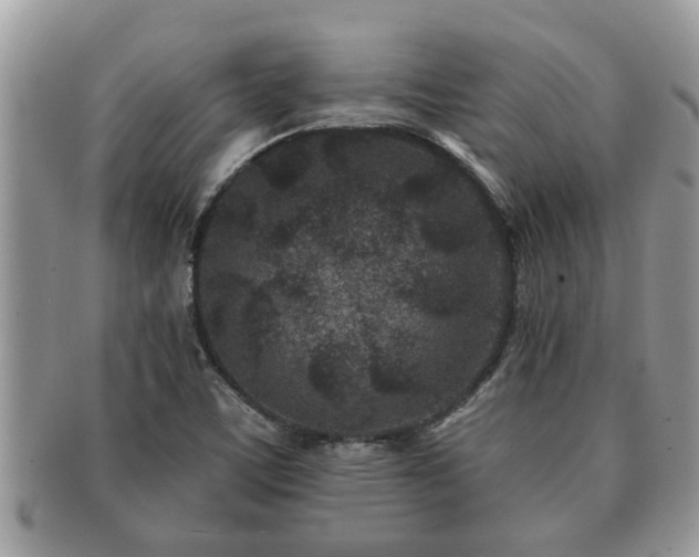 X0000091171459200708161450