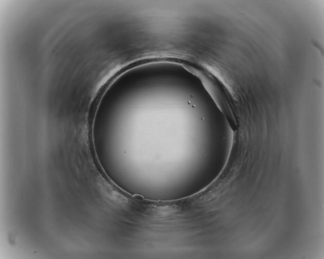 X0000091171460200708161450