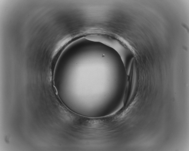 X0000091171461200708161450