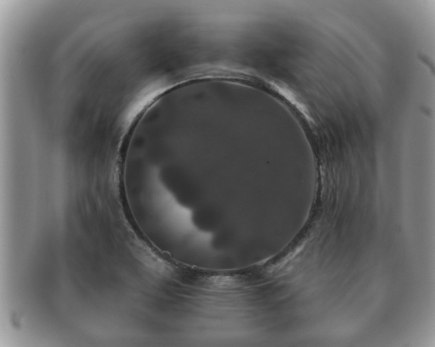 X0000091171463200708161450