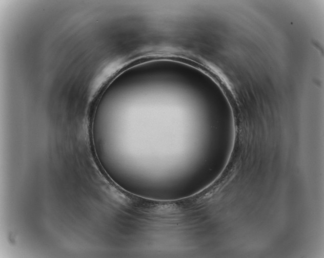 X0000091171464200708161450
