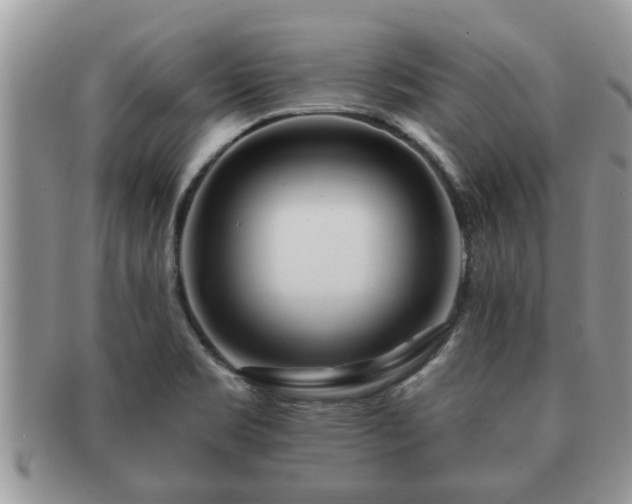 X0000091171469200708161450